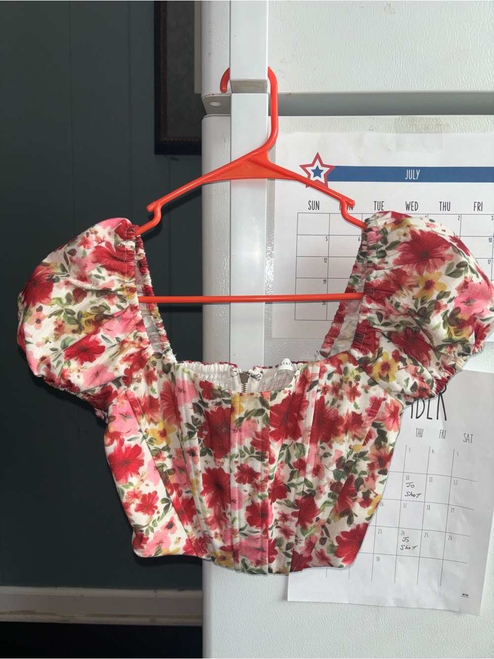 Altuzarra Red and Pink Floral Puff-Sleeve Crop Top